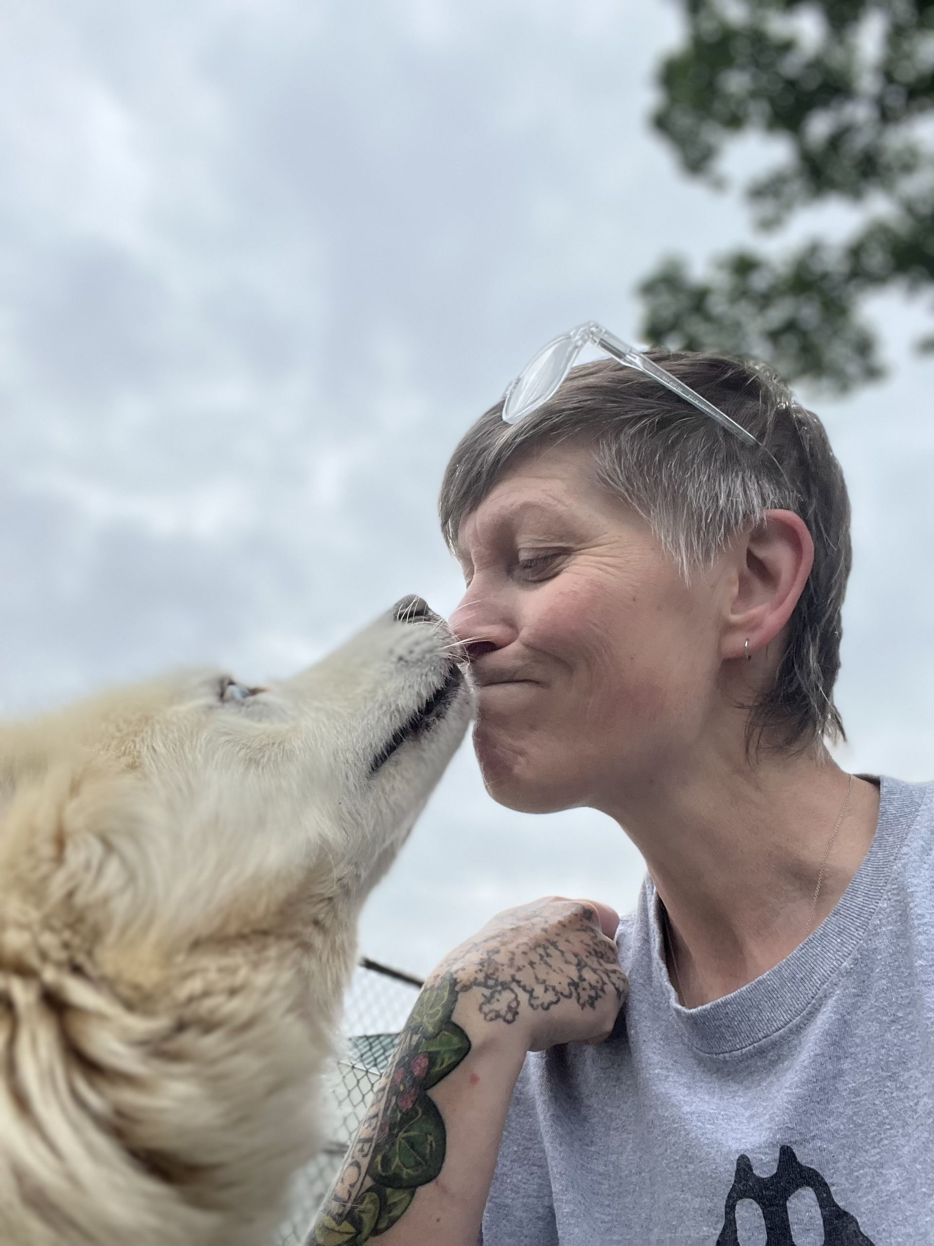 (Almost) 50 Ways to Help Homeless Pets in your Community