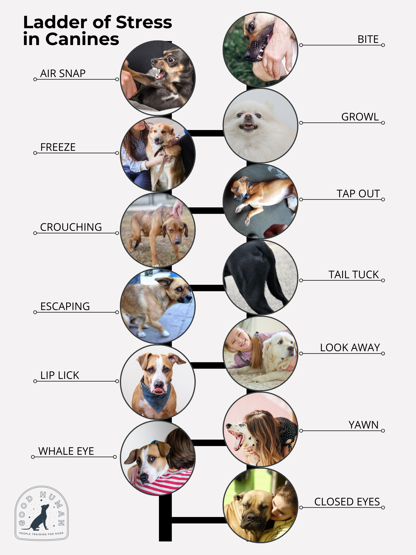 Ladder of Stress