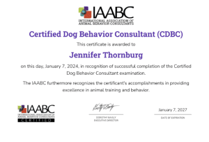 a certificate of a dog behavior