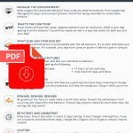 Change Your Dog's Behavior