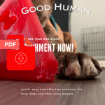 Enrichment Now! eBook