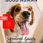 Housetraining Guide